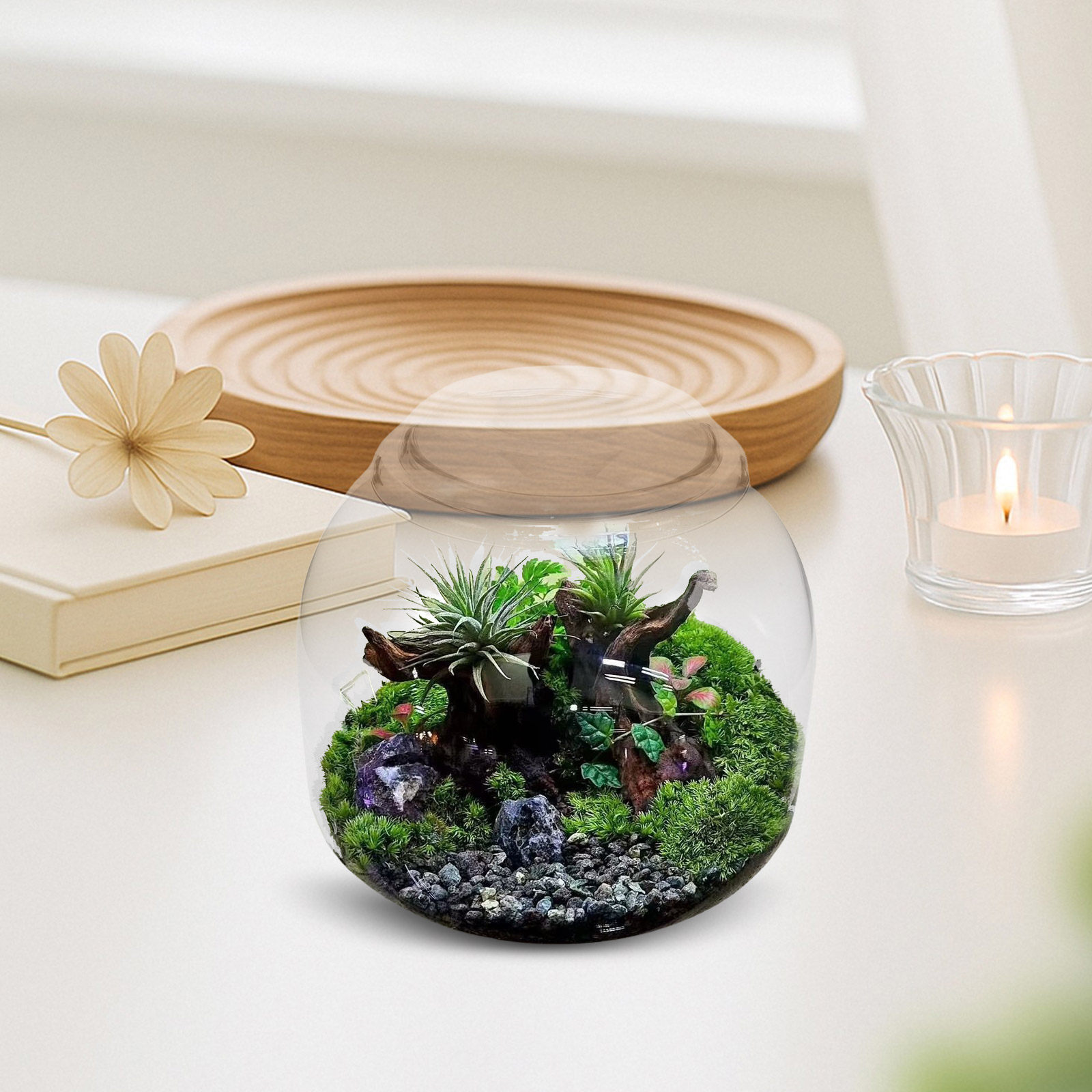 Terrarium Glass Bottle - ガラス製テラリウムジャー 蓋付き 透明 マイクロランドスケープボトル 多肉植物 モス