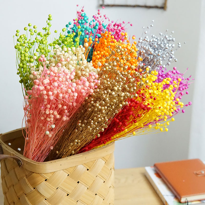 Dried Flower Bouquet - 35g/保存されたオルモシア・ホシエ天然本物の花カラフルな乾燥リッチビーンズ花束用ホームデコレーションDIY素材