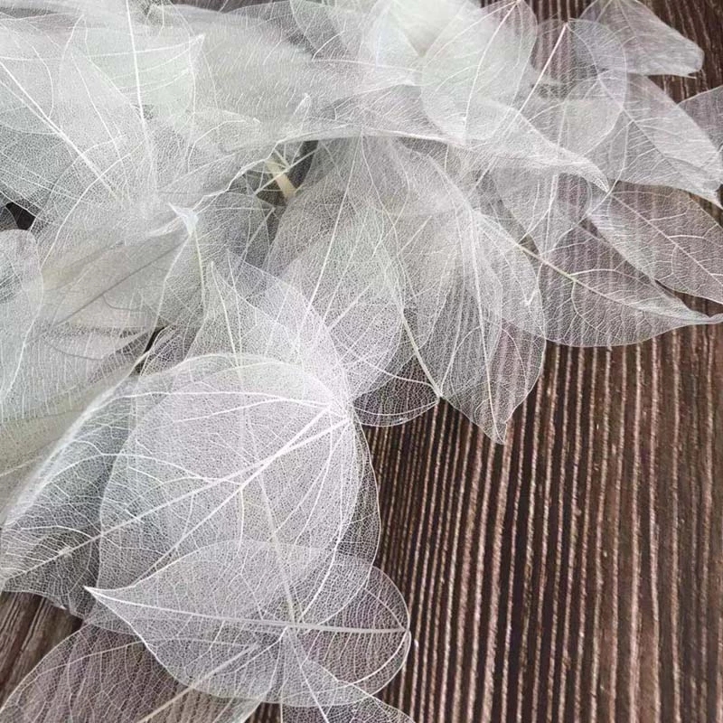 Dried Flower Bouquet - 5~9CM*2~3.5CM、100個/セット、本物の乾燥天然金剛葉脈、押し花乾燥葉、DIYウェディングデコレーション