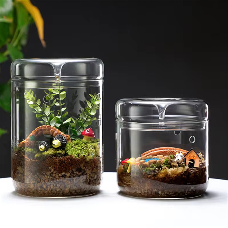 Terrarium Glass Bottle - 多肉植物の苔の風景ガラステラリウム、家の装飾、ガラス瓶、創造性の結束コレクション、マイクロランドスケープ花瓶