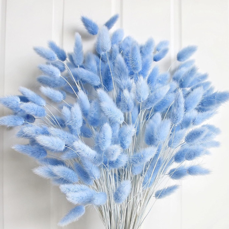 Dried Flower Bouquet - 100 個ブルーウサギの尾草バニーウサギの尾ホームルームリビング装飾ドライフラワーパンパスオールシーズン卓上花瓶装飾