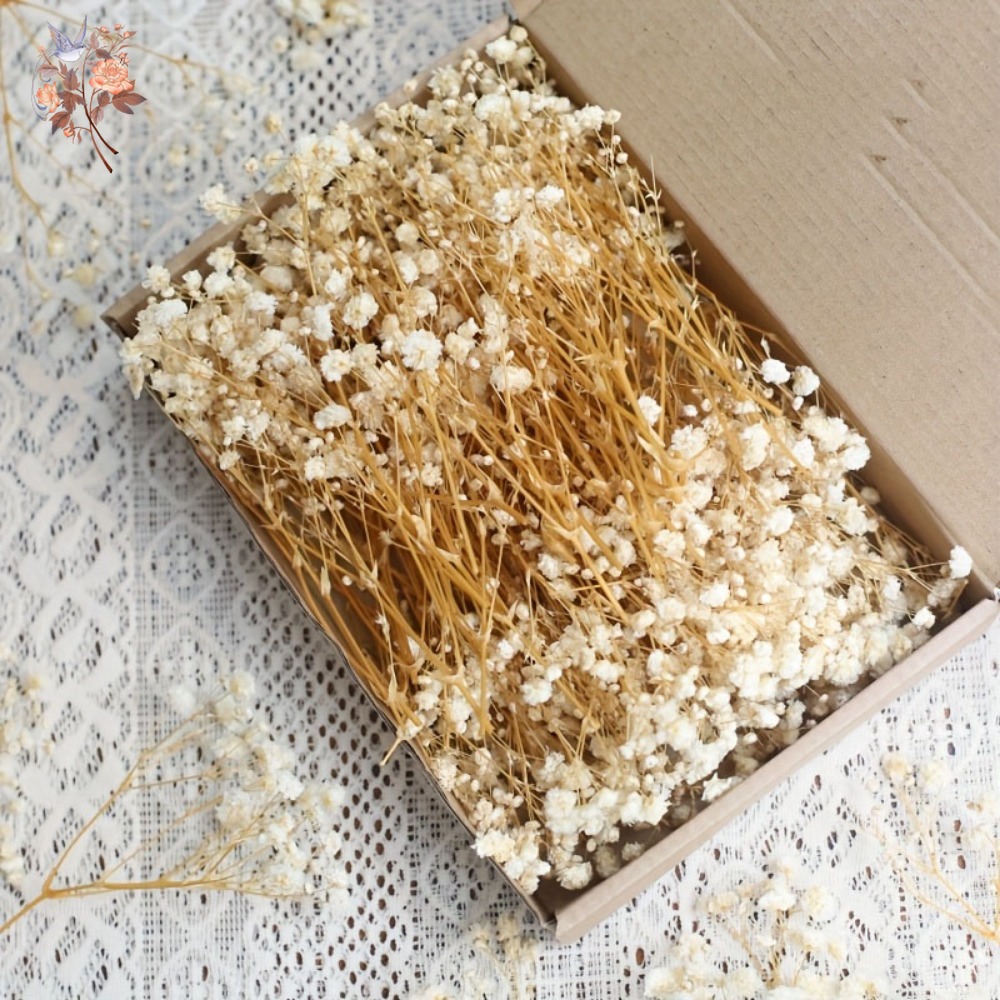 Dried Flower Bouquet - 100個入りミニドライカスミソウ、レジン工芸DIY、家の装飾、結婚式の飾り、リアルタッチのジプソフィラ、小さな束、ギフト用装飾品