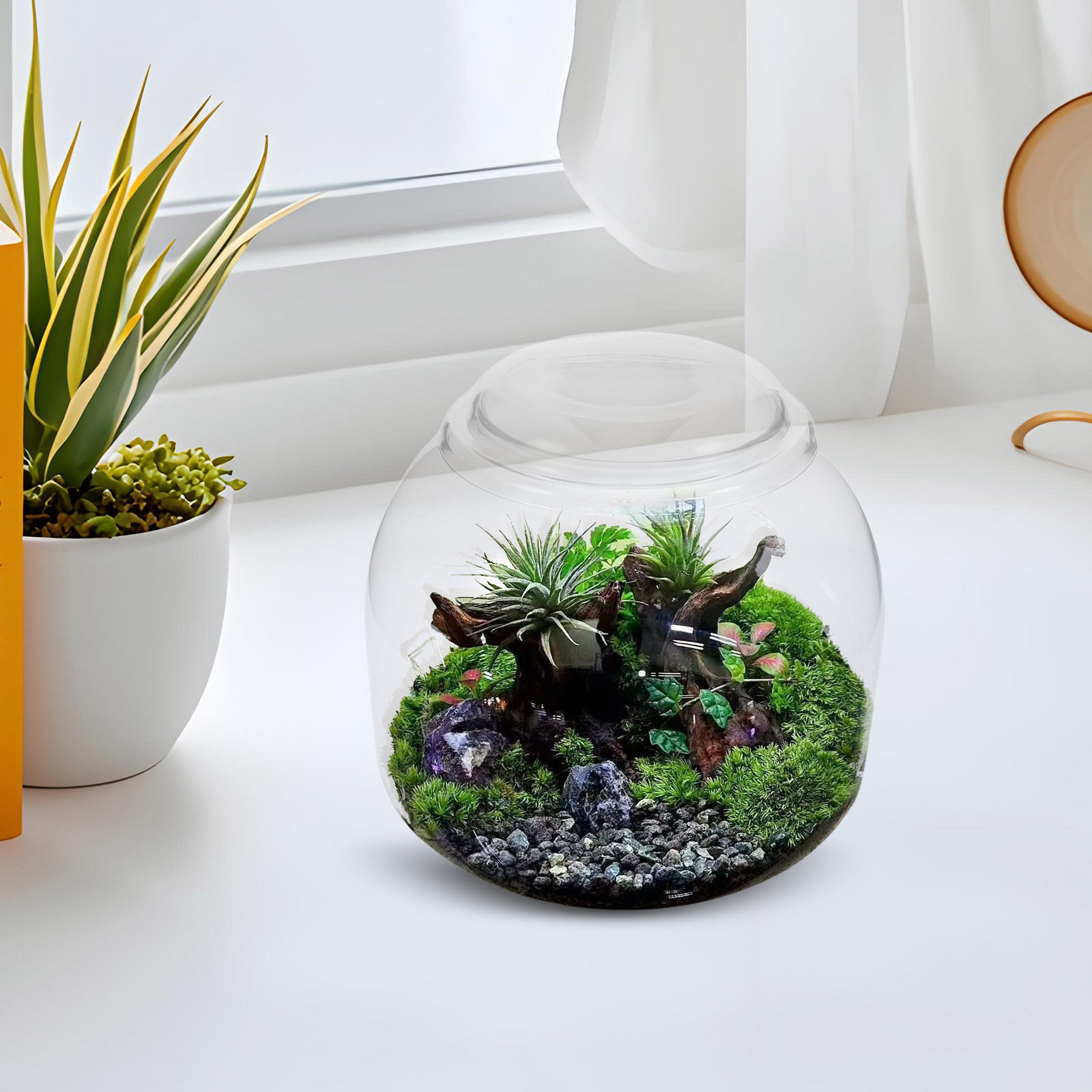 ガラス製テラリウムジャー 蓋付き 透明 マイクロランドスケー - Terrarium Glass Bottle のレビューと価格