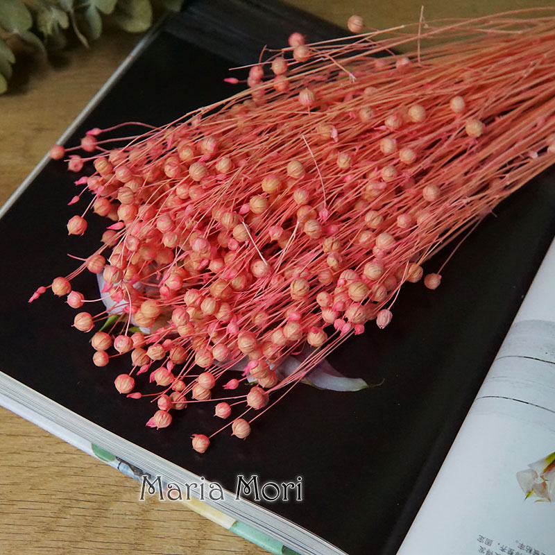 35g/保存されたオルモシア・ホシエ天然本物の花カラフルな乾 - Dried Flower Bouquet のレビューと価格