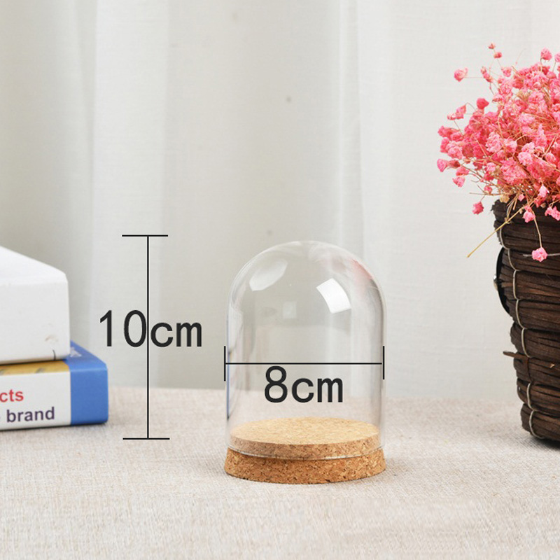 多肉植物用の透明なガラスドームカバー,透明な容器,家の装飾用 - Terrarium Glass Bottle のレビューと価格