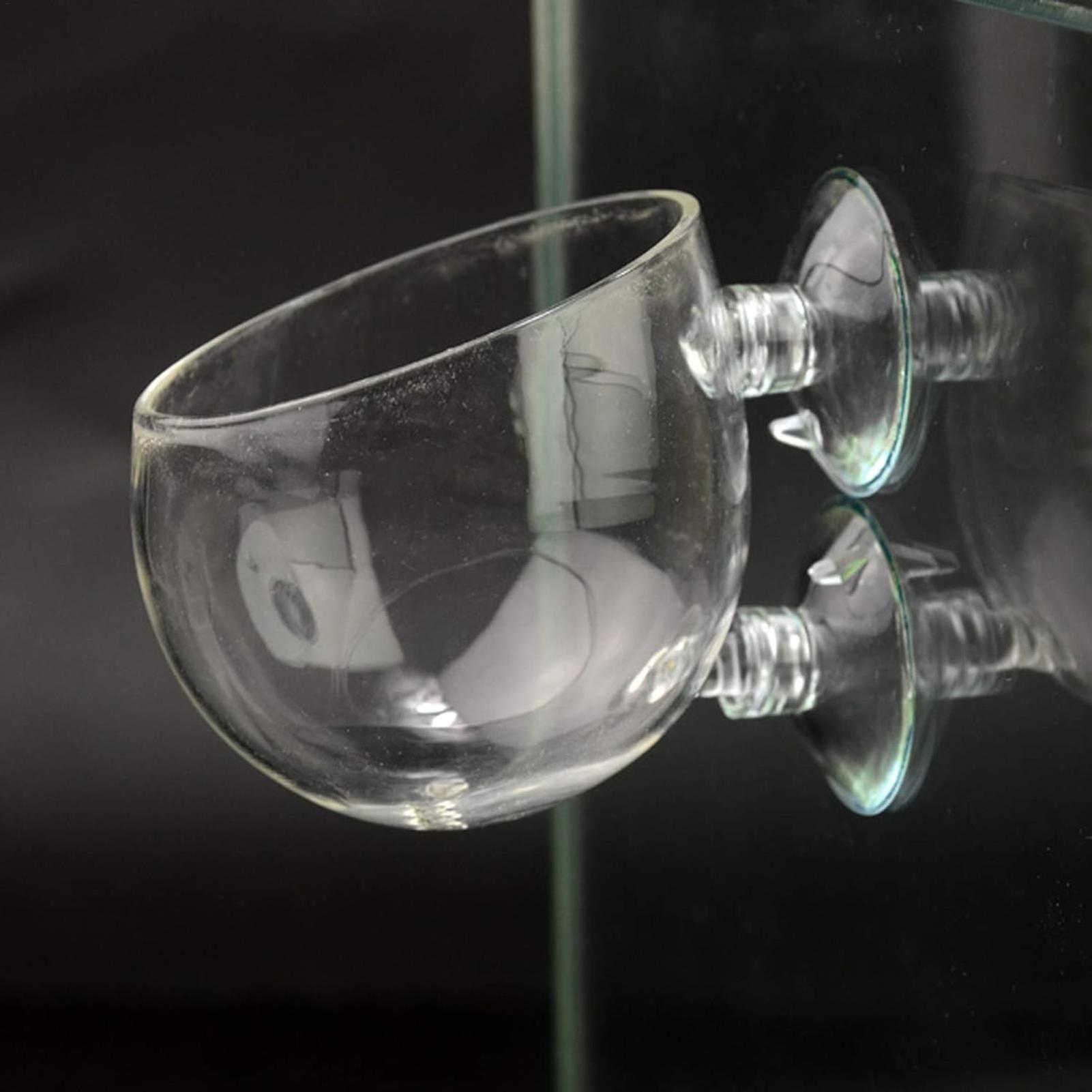 水槽用植物ホルダー ガラス製水草ポット 吸盤付き 生きた植物 - Terrarium Glass Bottle のレビューと価格