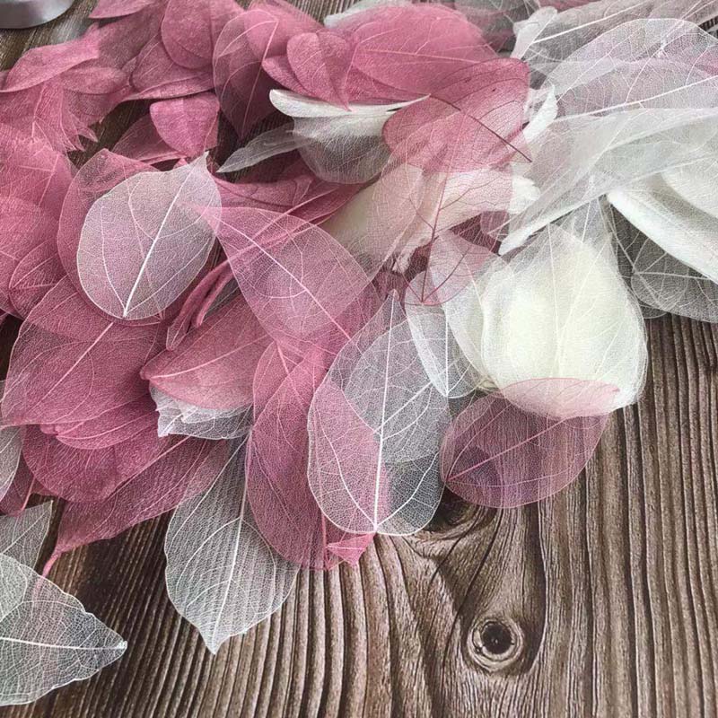 5~9CM*2~3.5CM、100個/セット、本物の乾燥天然 - Dried Flower Bouquet のレビューと価格
