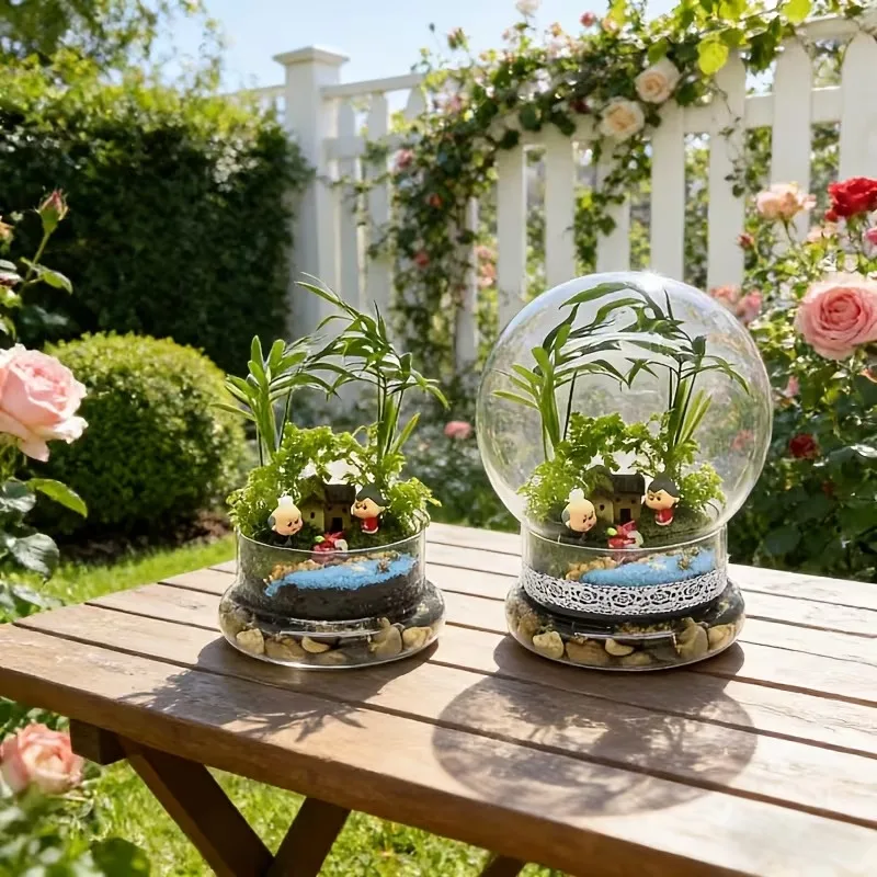 新型2in1球形テラリウムガラスボトル、多肉植物や苔用のミニ - Terrarium Glass Bottle のレビューと価格