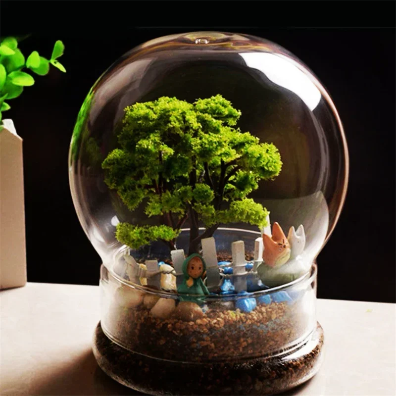 新型2in1球形テラリウムガラスボトル、多肉植物や苔用のミニ - Terrarium Glass Bottle のレビューと価格
