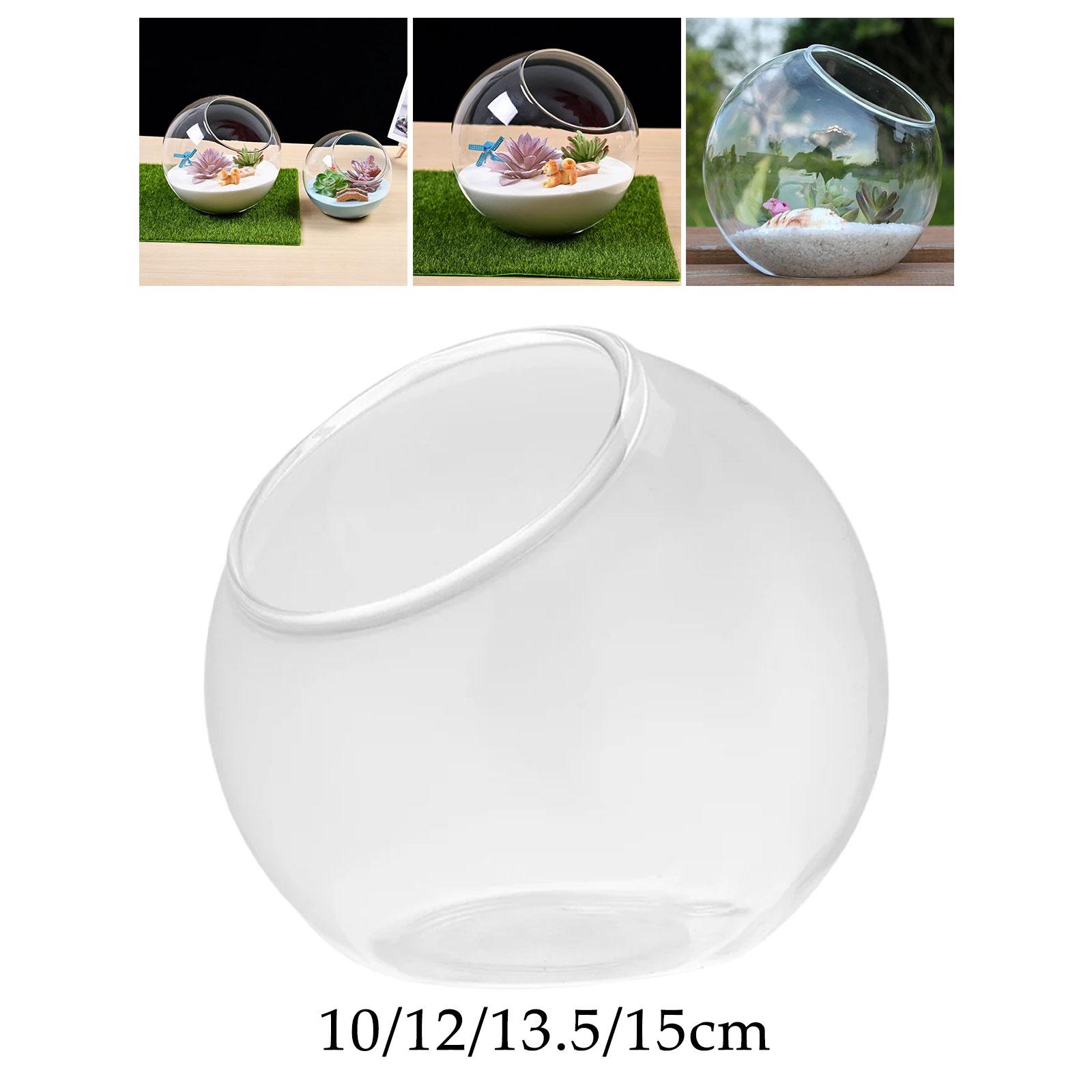 テラリウムガラスの花瓶、ユニークなセンターピース、卓上マイク - Terrarium Glass Bottle のレビューと価格