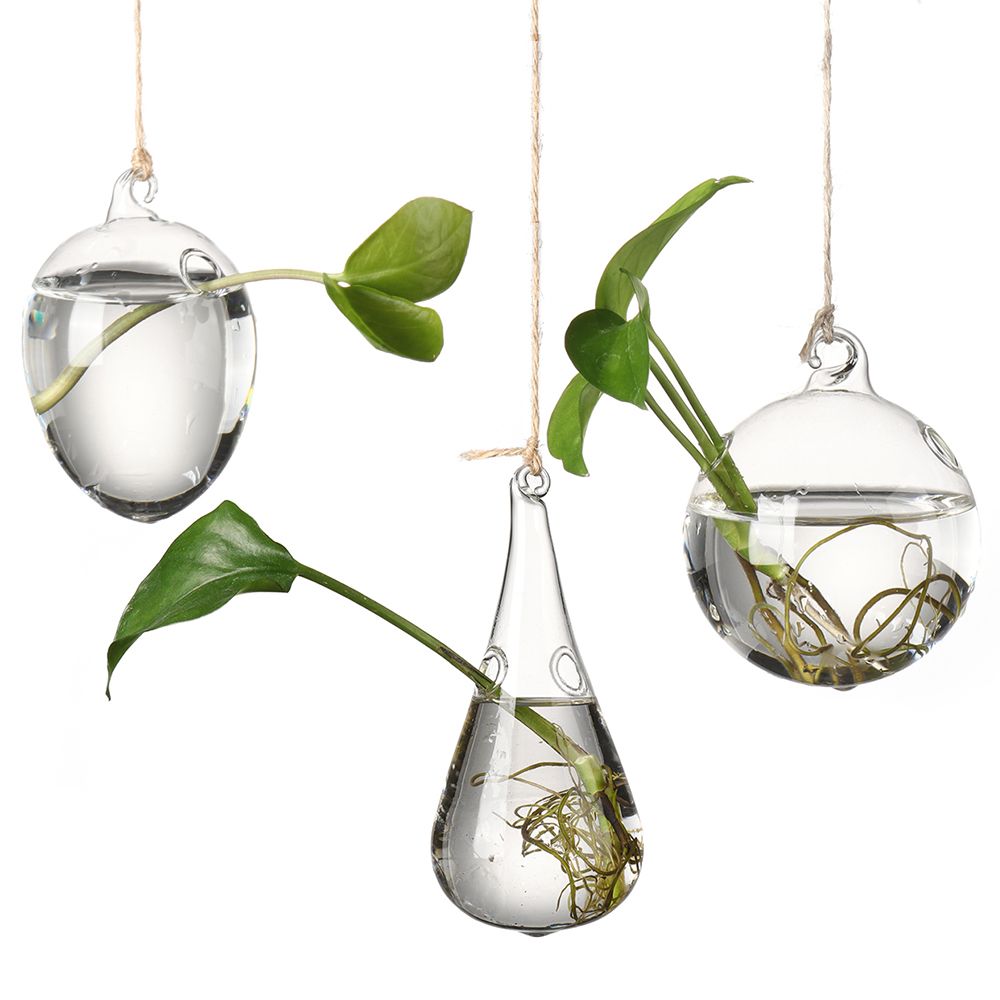 水耕栽培のための創造的な吊り下げ式ガラスの花瓶,植木鉢,テラ - Terrarium Glass Bottle のレビューと価格