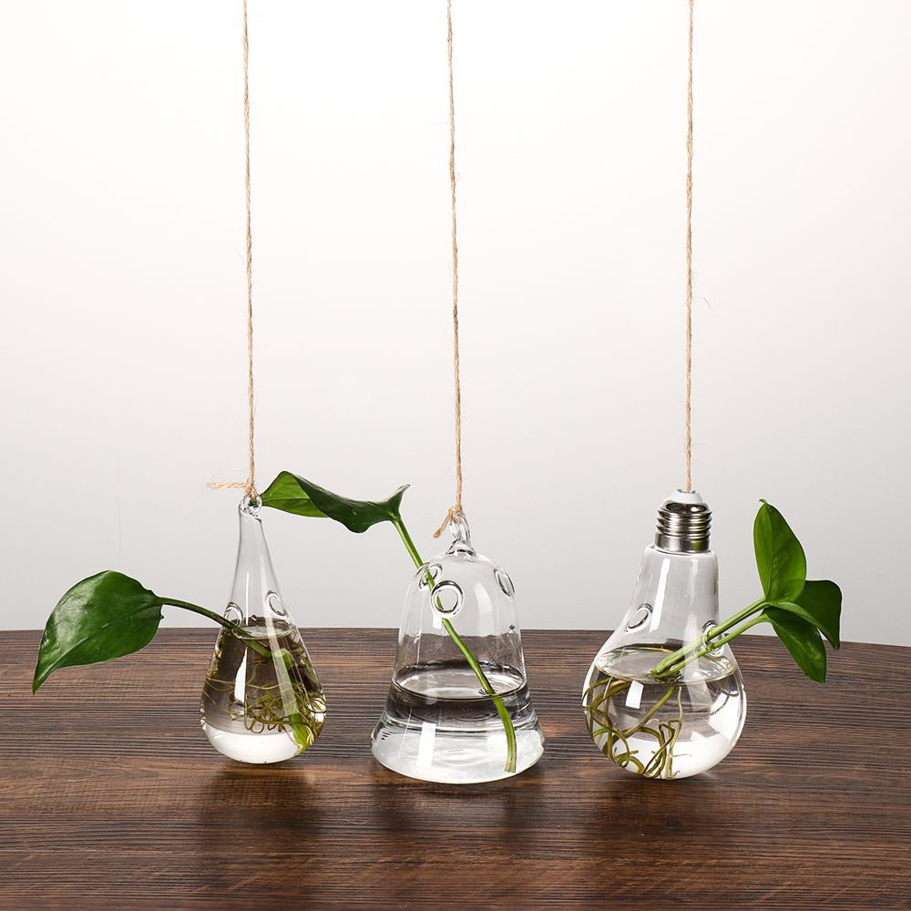 水耕栽培のための創造的な吊り下げ式ガラスの花瓶,植木鉢,テラ - Terrarium Glass Bottle のレビューと価格