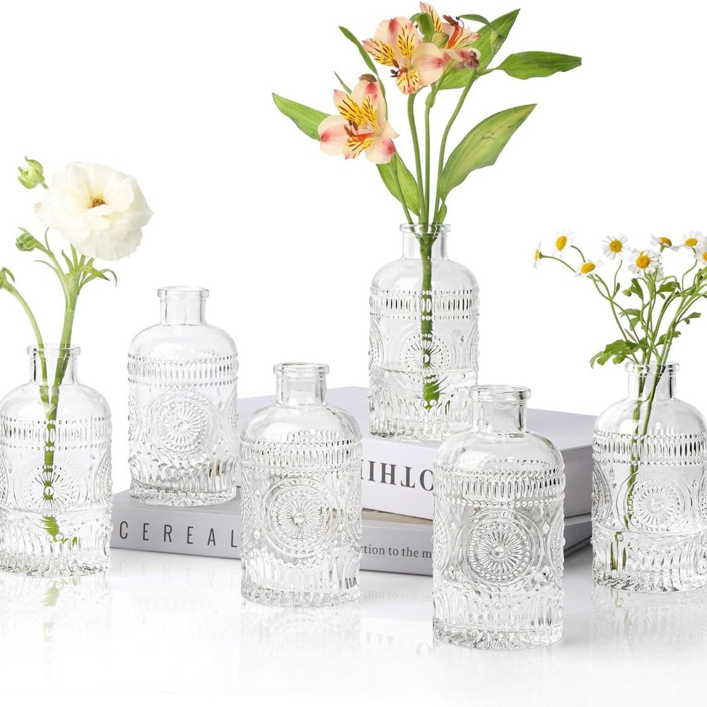 10 個フランスのレトロなレリーフミニガラス花瓶シンプルなデ - Terrarium Glass Bottle のレビューと価格