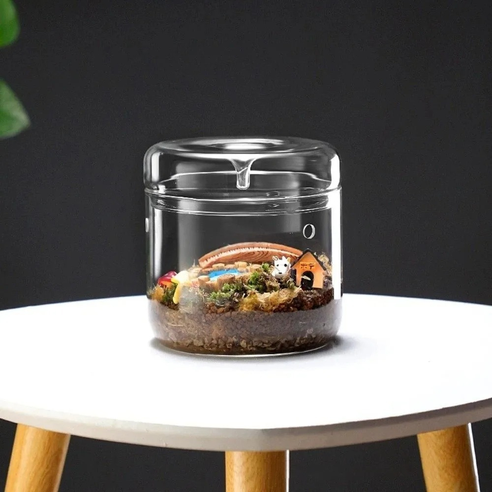 マイクロランドスケープガラス花瓶、露取りカバー付き、多肉植物 - Terrarium Glass Bottle のレビューと価格