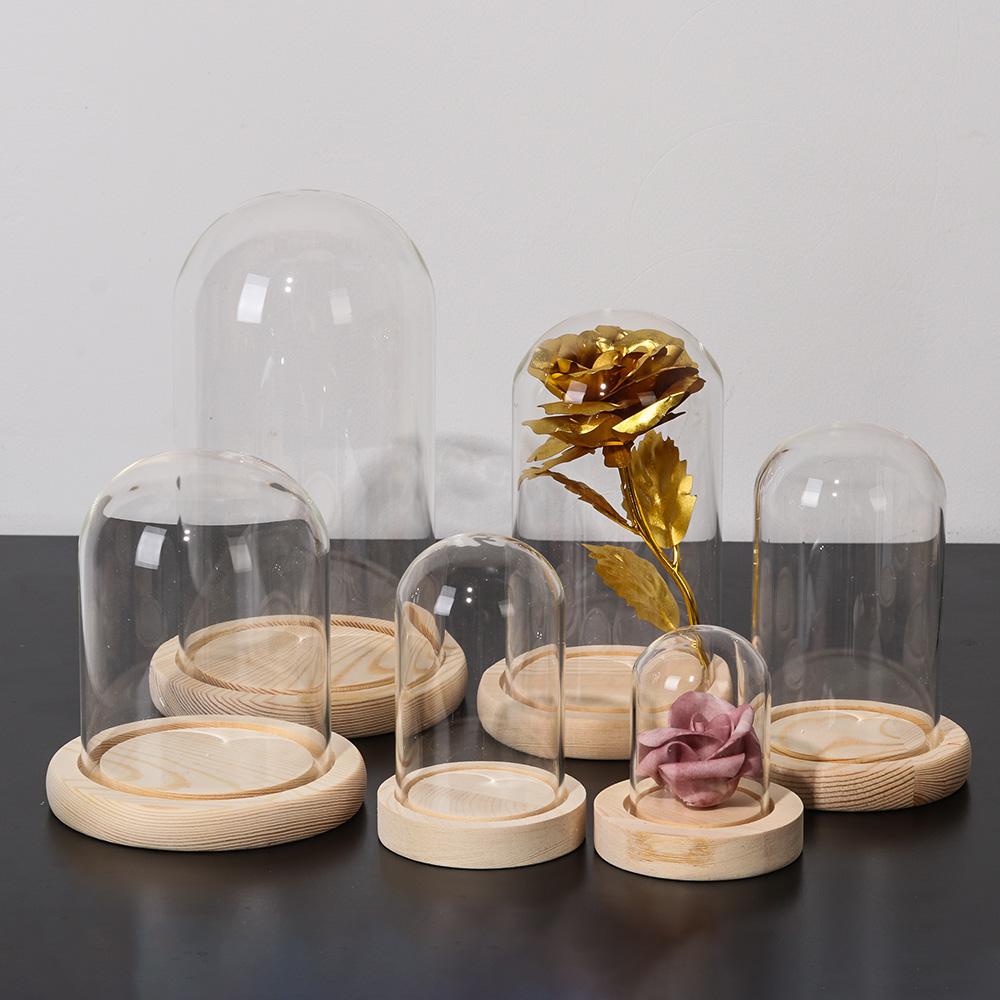 ガラス瓶ディスプレイスタンド木製ベース、テラリウムボトル、ア - Terrarium Glass Bottle のレビューと価格