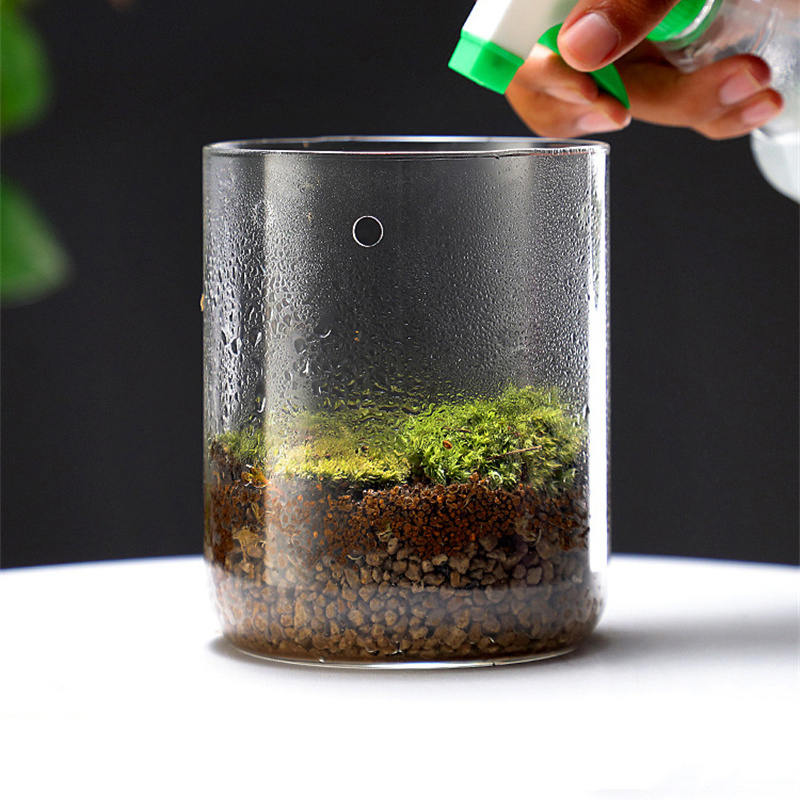 多肉植物の苔の風景ガラステラリウム、家の装飾、ガラス瓶、創造 - Terrarium Glass Bottle のレビューと価格
