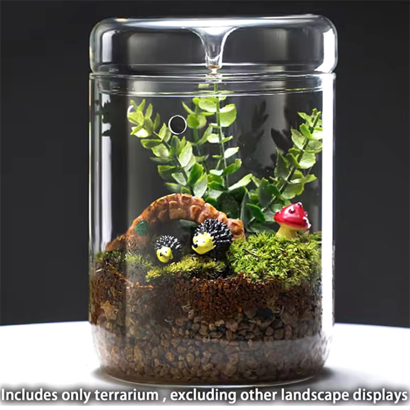 多肉植物の苔の風景ガラステラリウム、家の装飾、ガラス瓶、創造 - Terrarium Glass Bottle のレビューと価格