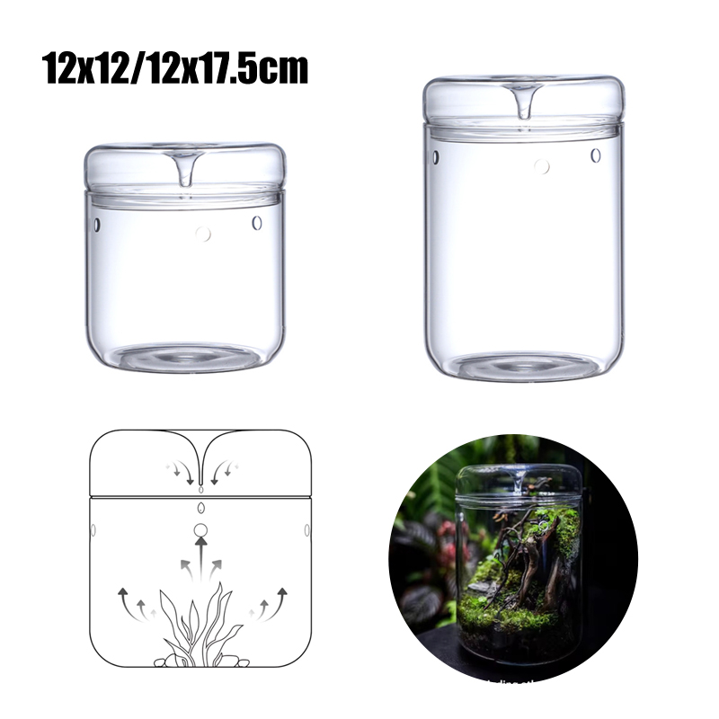 新商品！マイクロランドスケープガラスボトル クリエイティブ露 - Terrarium Glass Bottle のレビューと価格