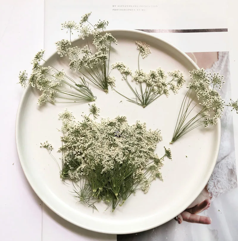 5-7cm/12個、枝付き雪の小さな花、ドライフラワーエンボ - Dried Flower Bouquet のレビューと価格