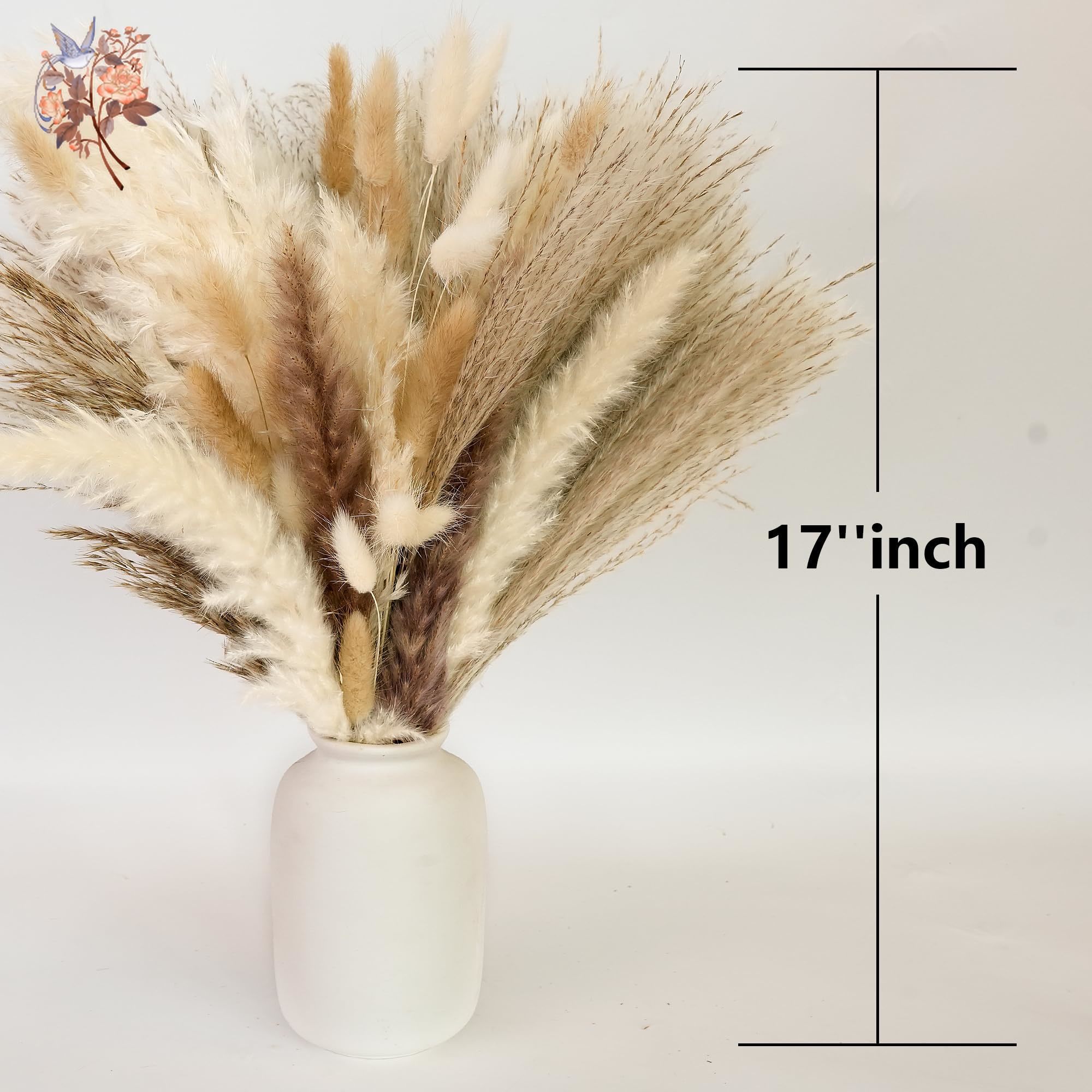 300本入り 天然大型パンパスグラス ドライフラワーブーケ  - Dried Flower Bouquet のレビューと価格