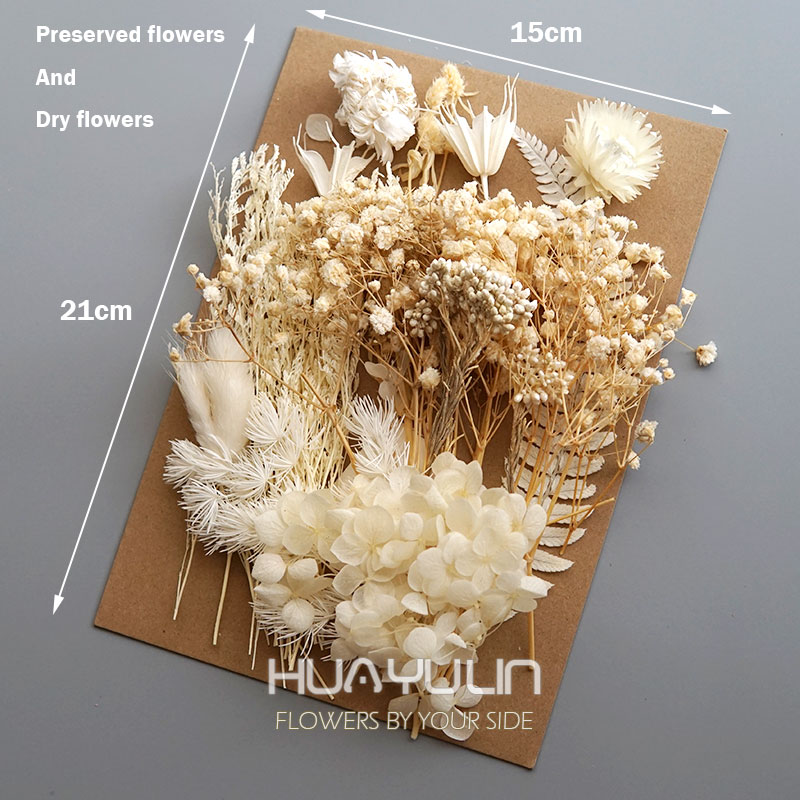 1 パック人工植物ドライ本物の花プリザーブド材料エポキシ樹脂 - Dried Flower Bouquet のレビューと価格