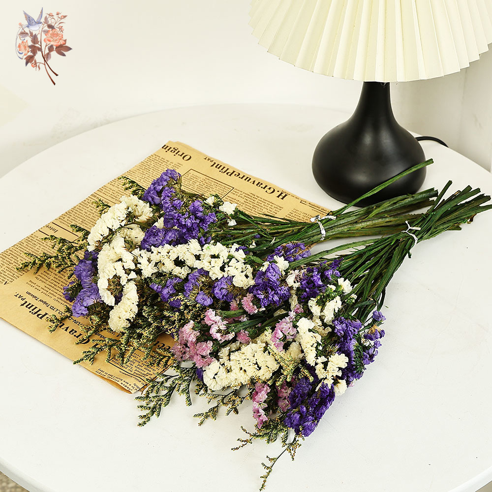 100 グラム天然本物の忘れな草の花の花束ミックスリモニウム - Dried Flower Bouquet のレビューと価格