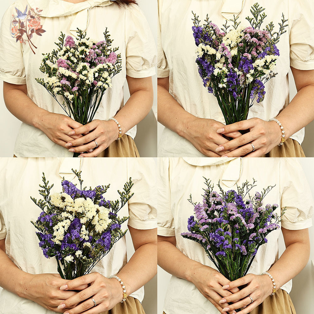 100 グラム天然本物の忘れな草の花の花束ミックスリモニウム - Dried Flower Bouquet のレビューと価格