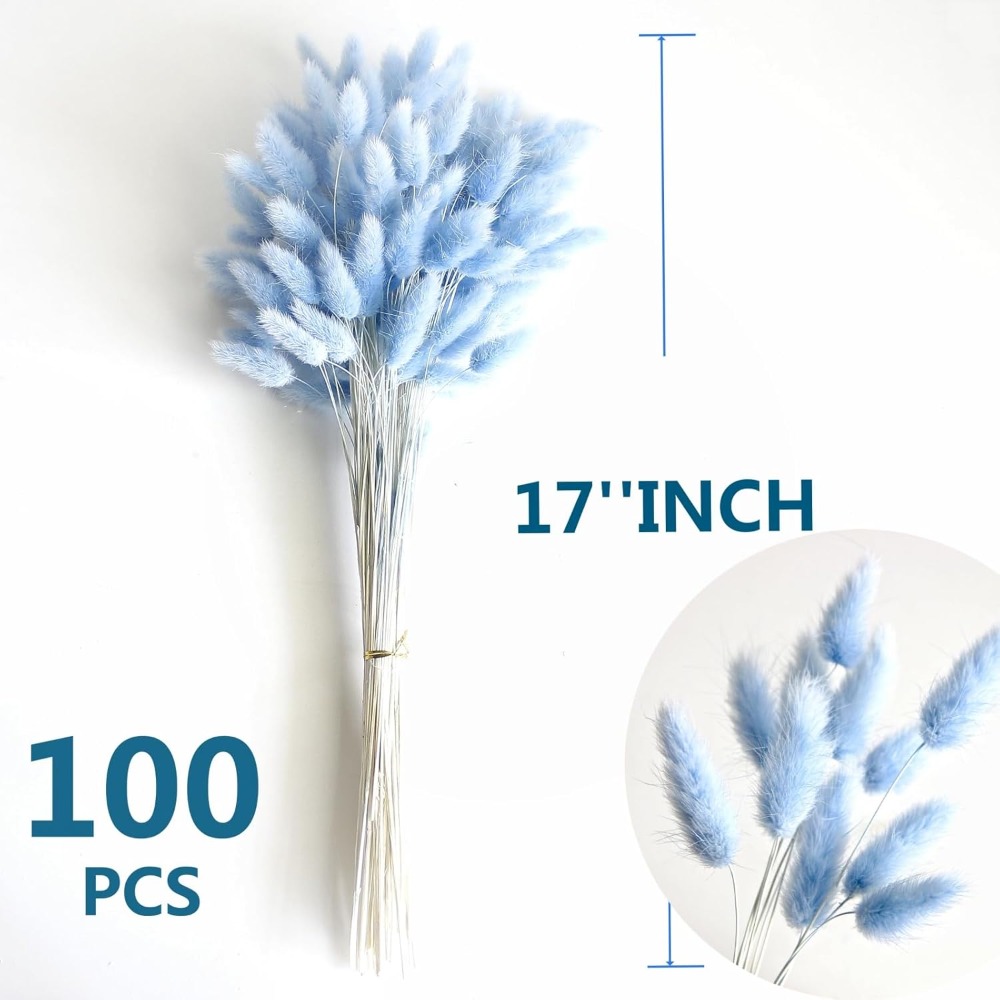 100 個ブルーウサギの尾草バニーウサギの尾ホームルームリビ - Dried Flower Bouquet のレビューと価格