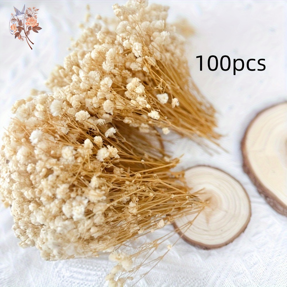 100個入りミニドライカスミソウ、レジン工芸DIY、家の装飾 - Dried Flower Bouquet のレビューと価格