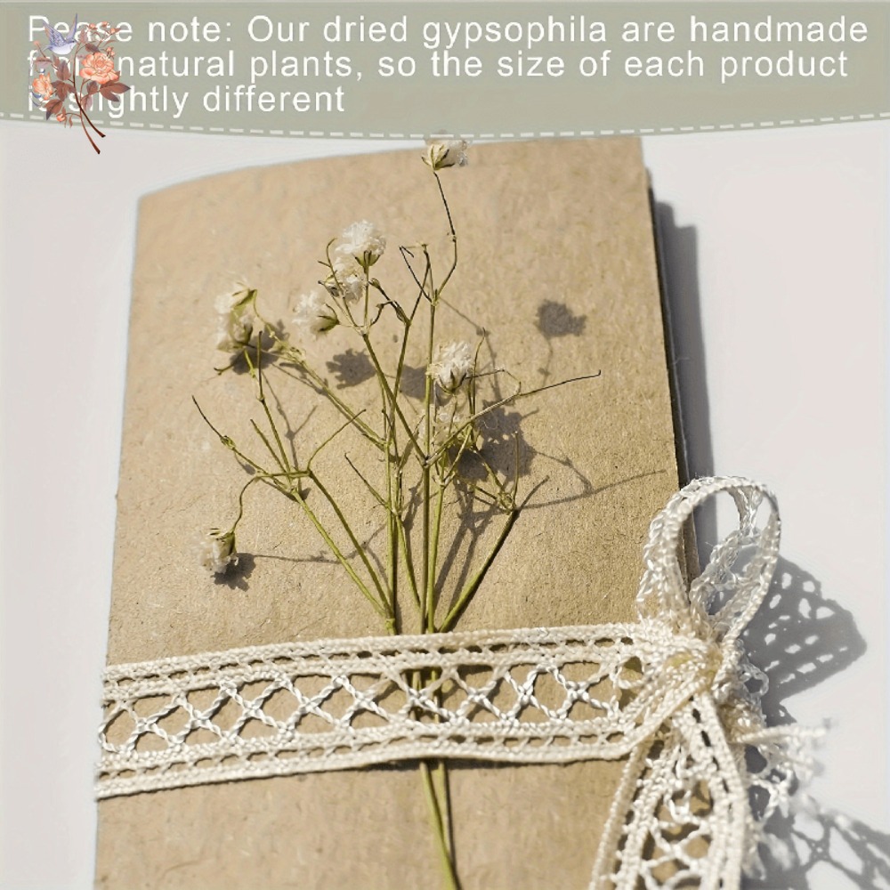 100個入りミニドライカスミソウ、レジン工芸DIY、家の装飾 - Dried Flower Bouquet のレビューと価格